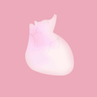 ����life��Ϸ���°�����v1.0 �ֻ���