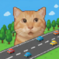 ������Ī��û·������v1.1.1 ��׿��