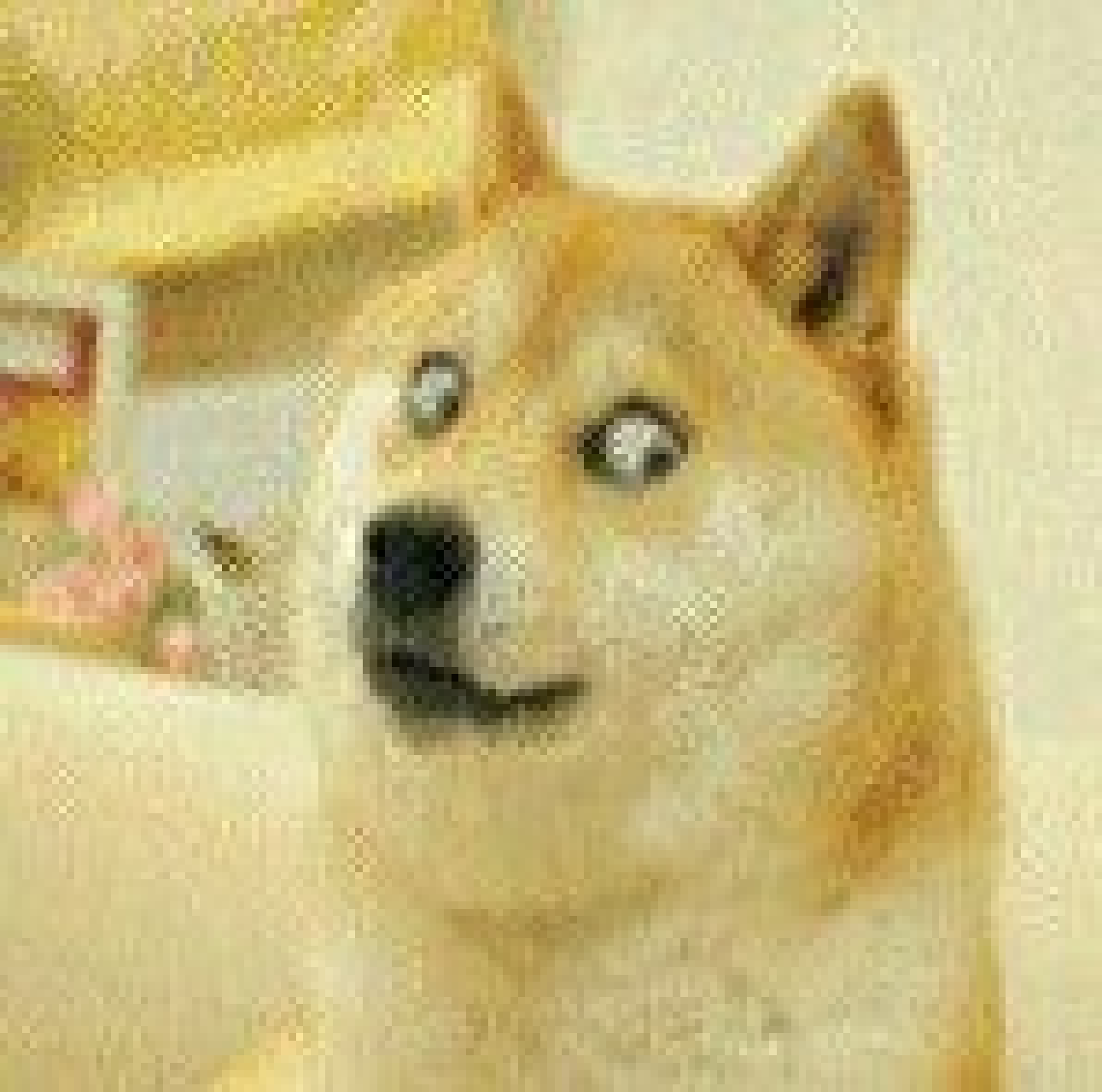 ����Ȼ������������Ѱ�v3 ��׿��