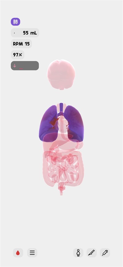 ����life��Ϸ���°�����v1.0 �ֻ���