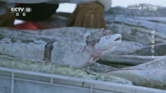 ��ʱ�����Ӽ�app��������v1.0.7 ��׿��