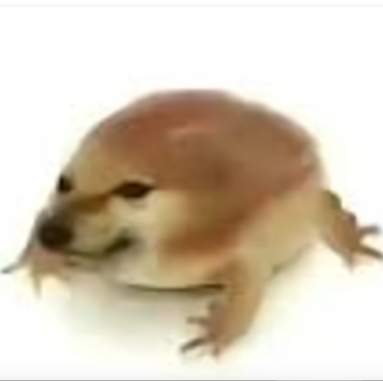 �ҵĵ�����������v1.0 ��׿��