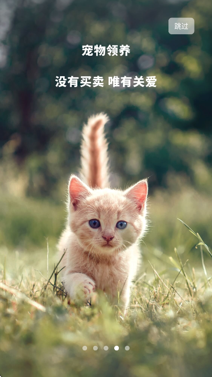 wellcee�ٷ�����v4.11.0 �ֻ���