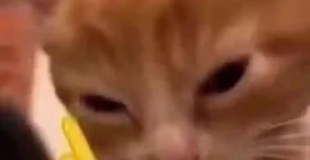 СèΧ�����ذ�װ�ֻ���(SpaceClickTap)v1.0 ��׿��