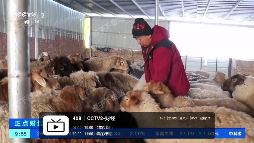 ����ֱ�����°�����