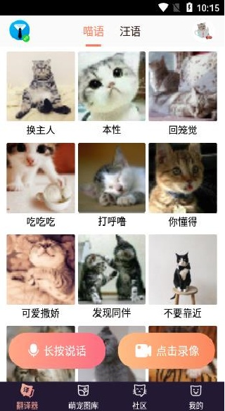 猫语翻译机下载中文版 猫语翻译机下载中文版