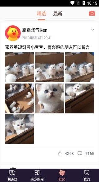 猫语翻译机下载中文版 猫语翻译机下载中文版