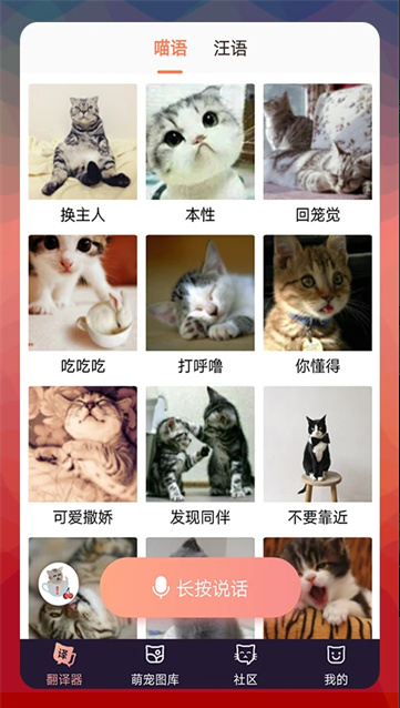 猫语翻译机下载中文版 猫语翻译机下载中文版