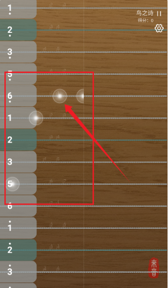 �����������°�����