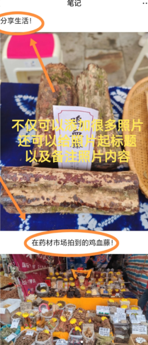 ����Ȧ��ô������9��ͼ ����Ȧ������9��ͼ�̳�