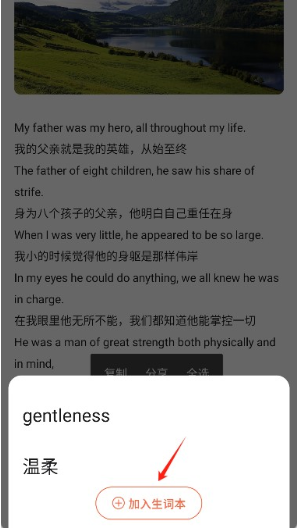 ʶ�մʵ䰲׿������