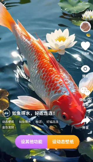 ��������ֽ���°�