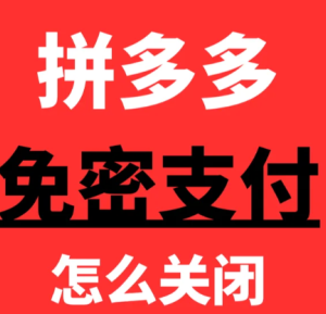 ƴ�����ô�ر�����֧�� ƴ�����ô����֧������