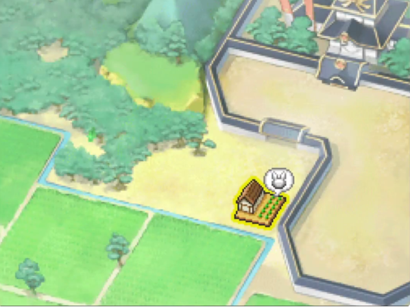 �ڴ������ų���Ұ���ռ���