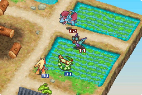 �ڴ������ų���Ұ���ռ���