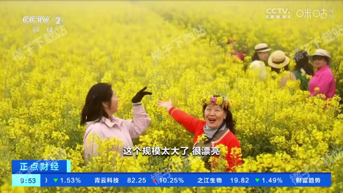 С����ֱ��TV��2026���°�