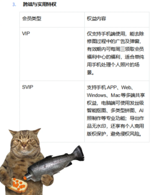 ��ͼ����vip��svip��ɶ���� ��ͼ����vip��svip�۸�