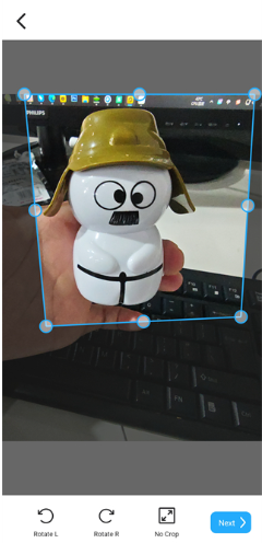 ���ɨ�����������°�