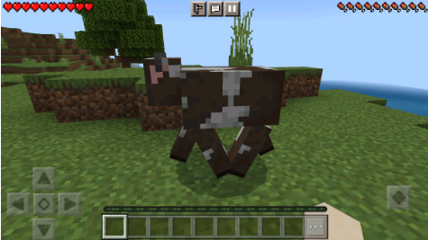 �ҵ������������Խʱ��ģ������