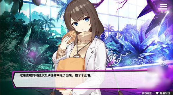 ��ħ��Ů��Ϸ������ֲ��(Succubus Girl)