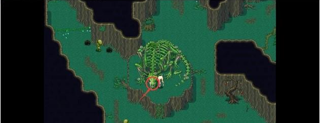 �������˿��������İ�����