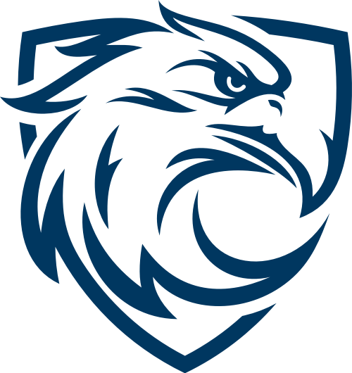 ��ӥ�ӽ����ذ�װ���°�v6.0.1 ��Ѱ�