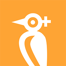 ����������������׿�����ذ�װv9.0.1 �ֻ���