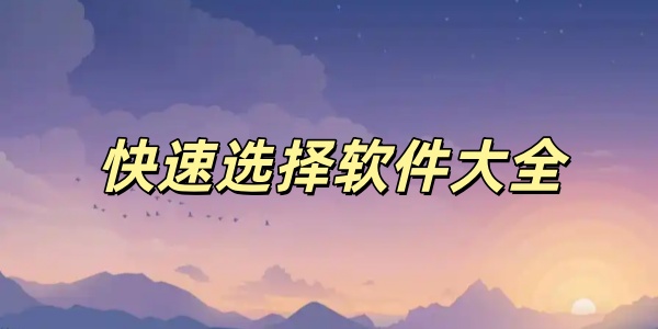 ����ѡ��������ȫ