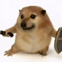 �ҵĵ�������app����v1.0 ��׿��