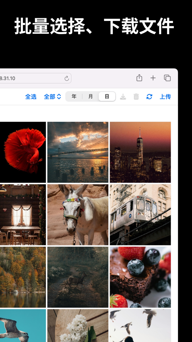 �ļ�������׿������v6.3.8 �ֻ���