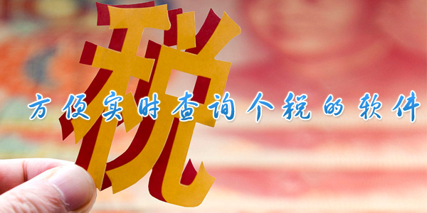 ����ʵʱ��ѯ��˰������