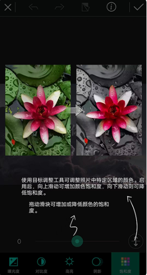 ��Ƭ��ʦapp���°�