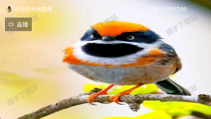 С��Ϻֱ�����ذ�װ���°�