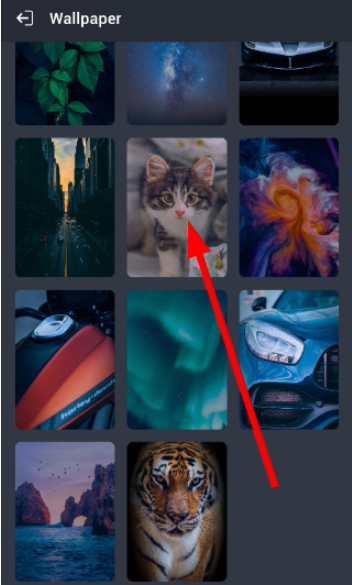 ������Ӧ������Ѱ�