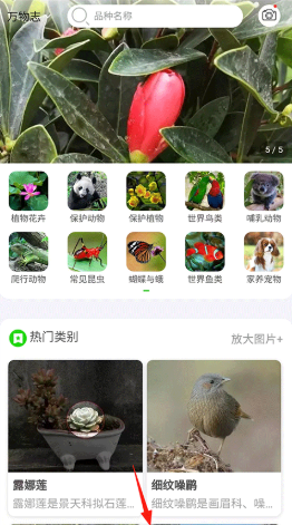 ����־��׿������