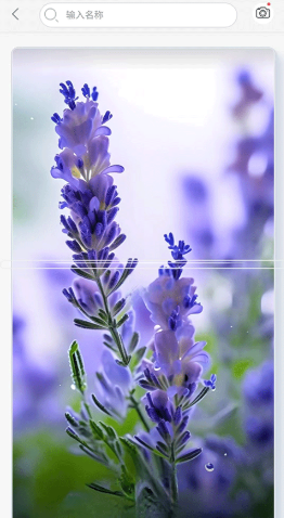 ����־��׿������