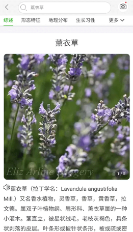 ����־��׿������