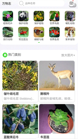 ����־��׿������