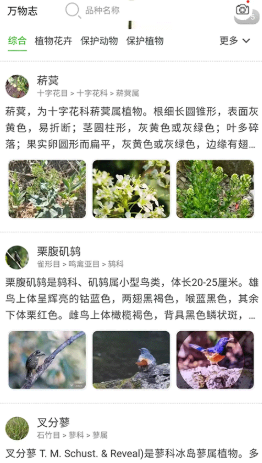 ����־��׿������