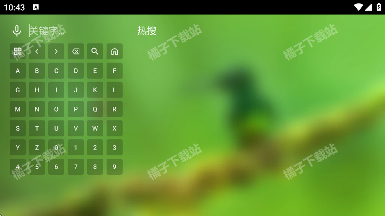 ����ӰԺ�ֻ������ذ�װ