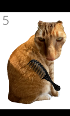 ��è��ë��׿������