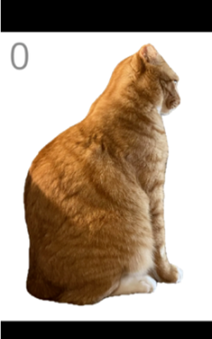 ��è��ë��׿������