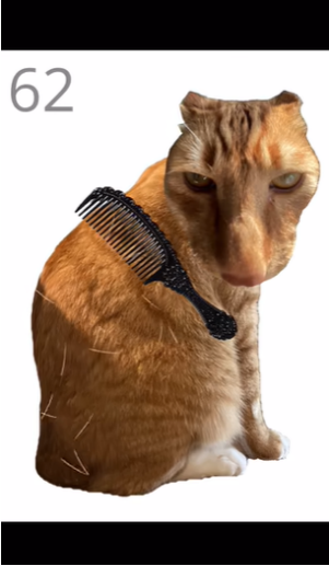 ��è��ë��׿������