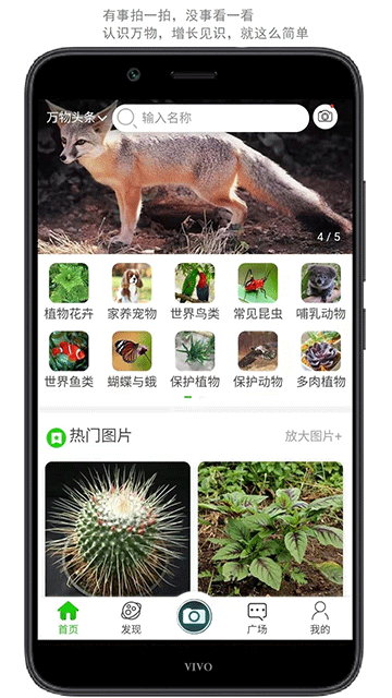 ��������º���ƴ���ﰲ׿������v1.35 �ֻ���