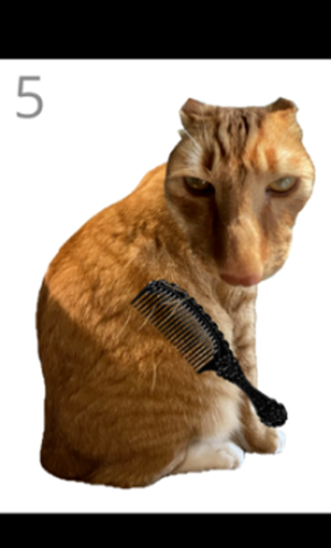 ��è��ë��׿������v1.0 �ֻ���