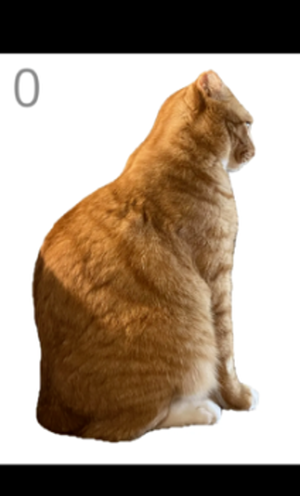 ��è��ë��׿������v1.0 �ֻ���