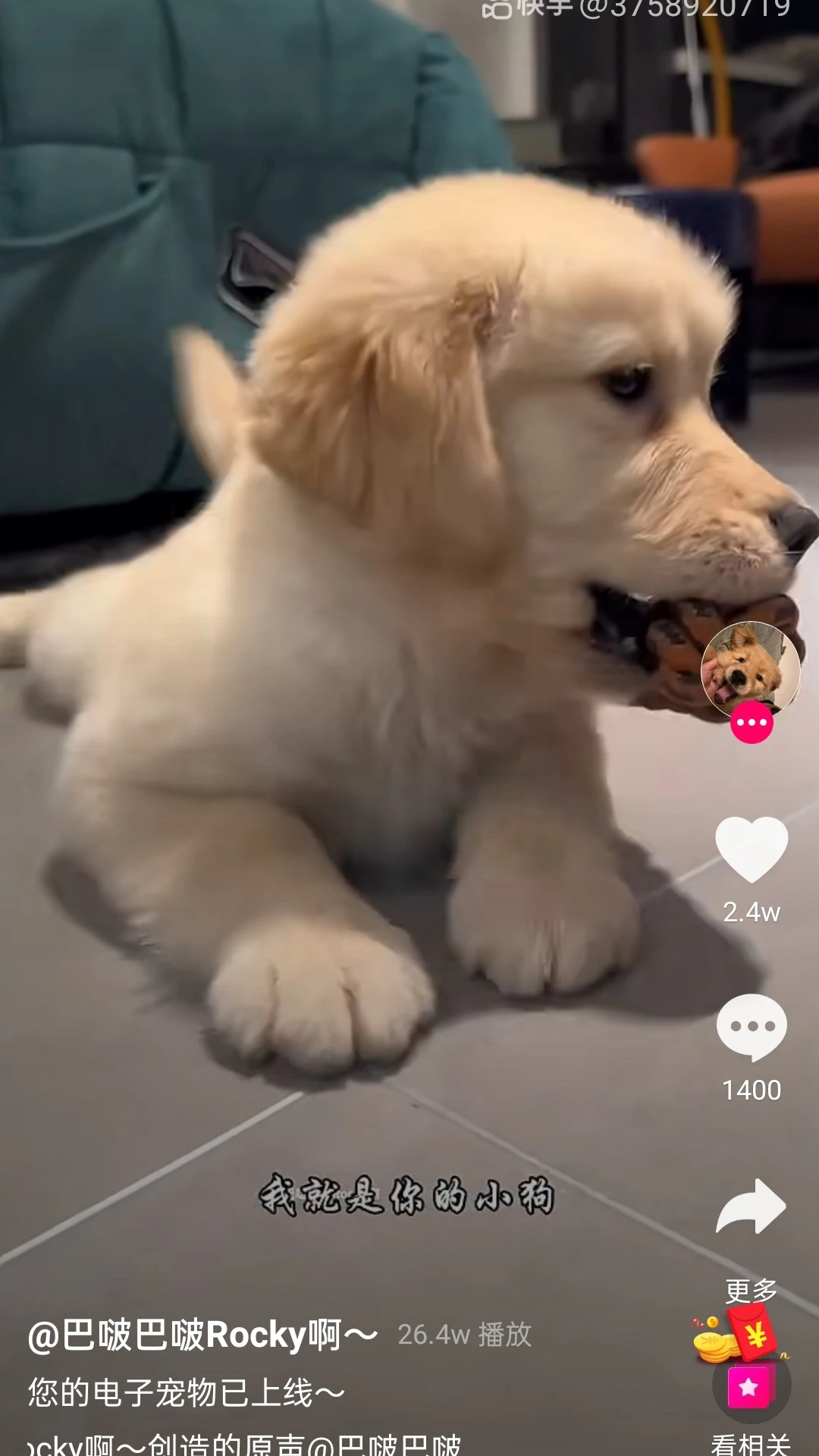 ����С���������ذ�װ�ֻ���v1.4.7 ���°�