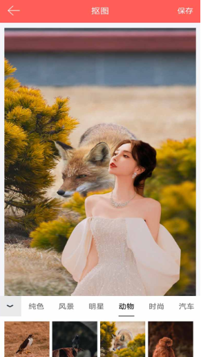 ȫ�ܿ�ͼ��ʦ���°�����