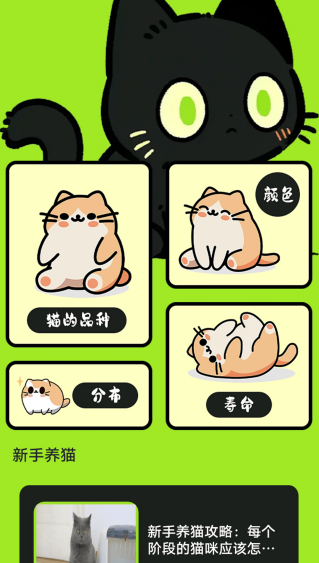 村庄叮叮猫app安卓版下载 村庄叮叮猫app安卓版下载