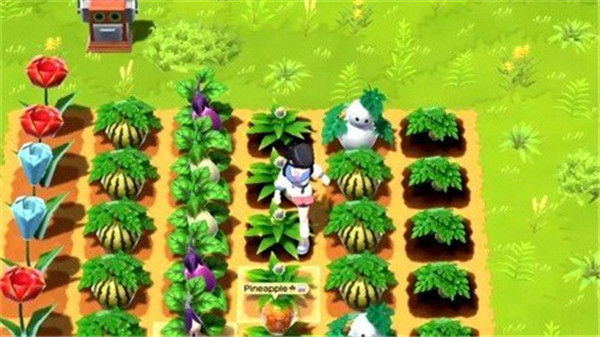 ������������֮�Ұ�׿������(HM: HOME)v1.34 �ֻ���